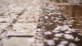 【小帆】rain stops,good-bye